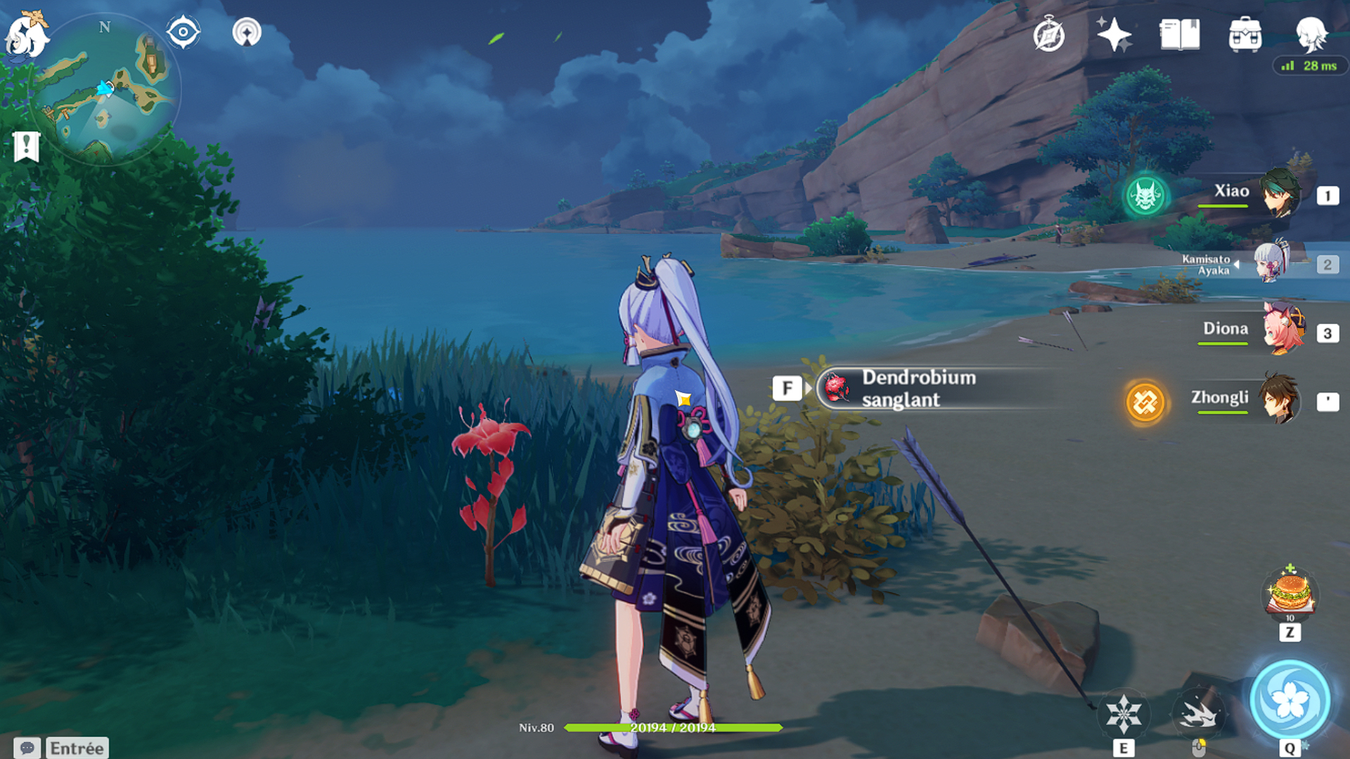 Dendrobium sanglant Genshin Impact, où en avoir ?