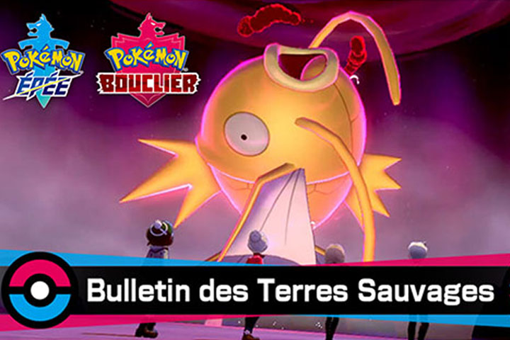 Pokémon Epée et Bouclier : Code pour 10 Scuba Balls et raid Magicarpe