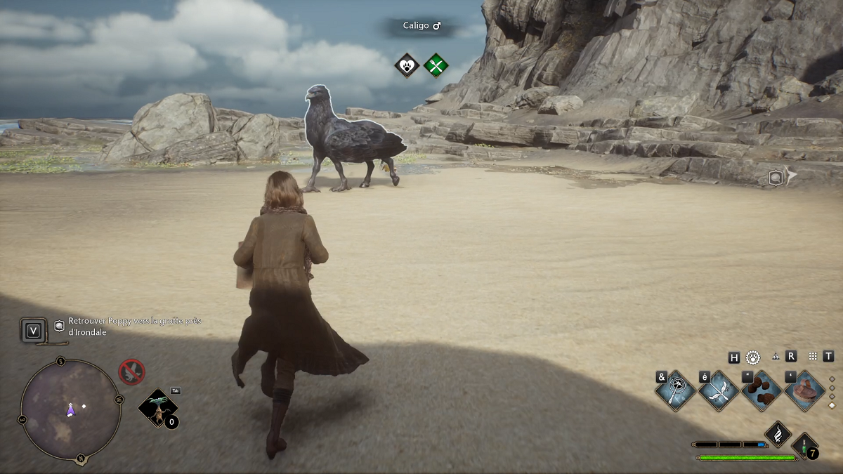 Où trouver des Hipogriffes sur Hogwarts Legacy ? Tous les emplacements