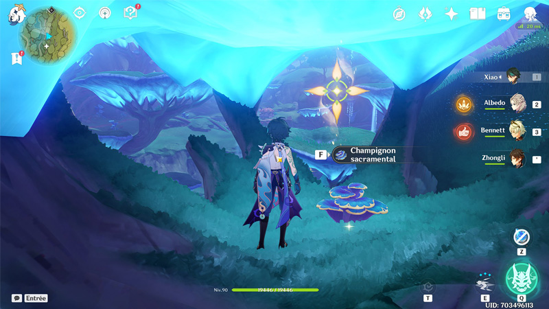 Où trouver des champignons sacramentaux ?