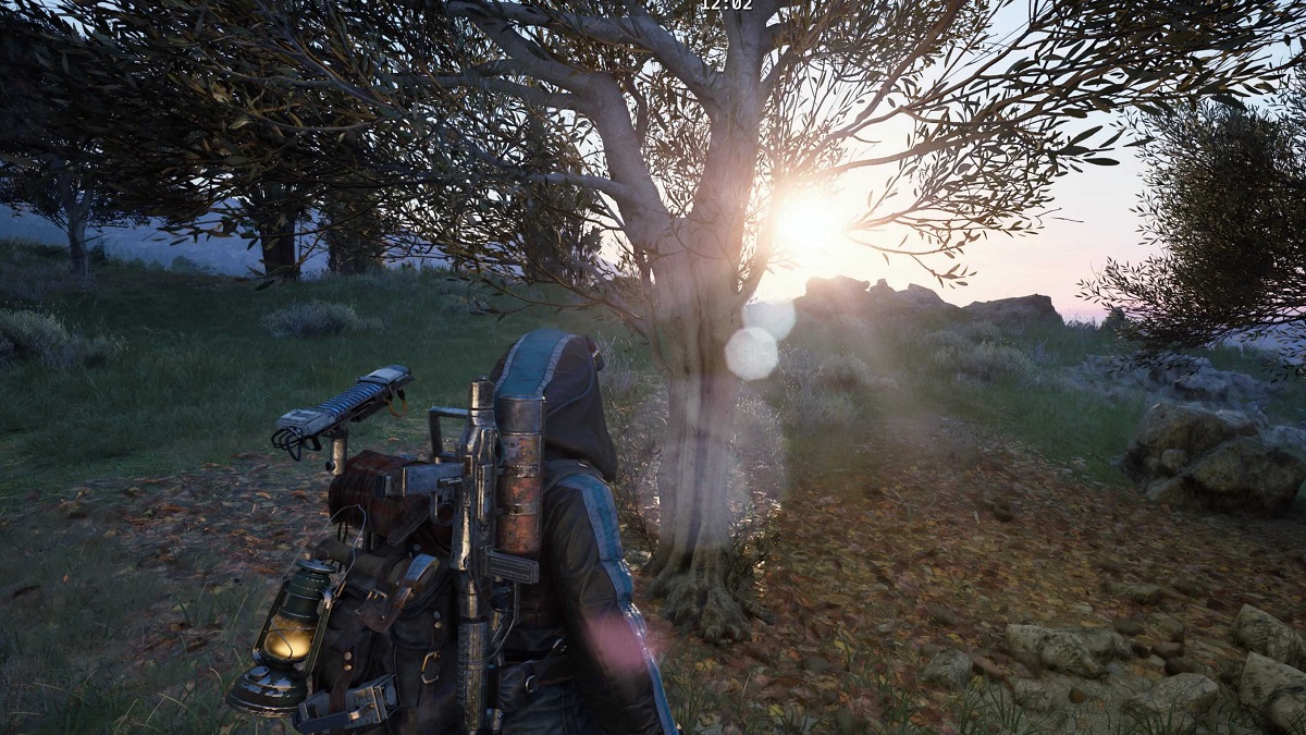 Où trouver des olives dans ARC Raiders ?