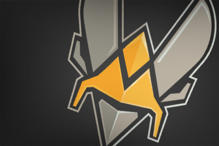 Fortnite : Team Vitality souhaite investir dans une équipe Esport