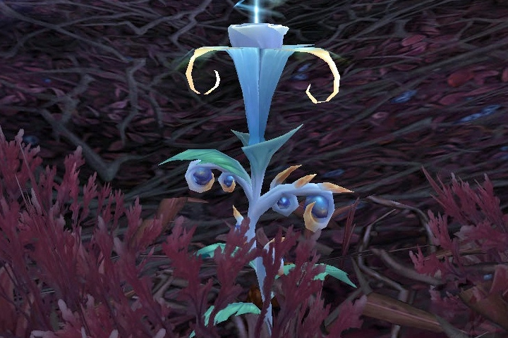 Farm Belladone, où sont les routes opti pour l'herbo dans WoW Shadowlands ?