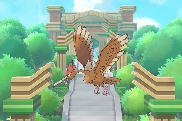 Pokédex : Fiche Rapasdepic