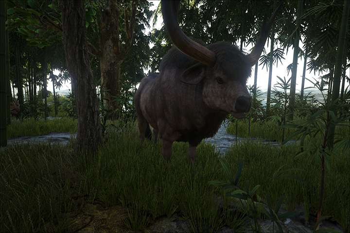 Apprivoiser un animal