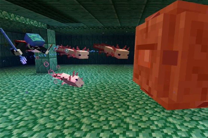 L'Axolotl dans Minecraft, les infos sur le mob de la 1.17