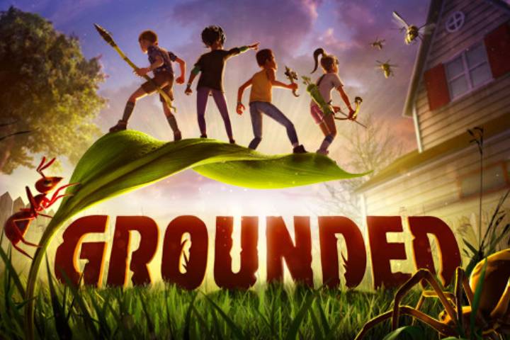 Comment jouer à Grounded sur Xbox et PC ?