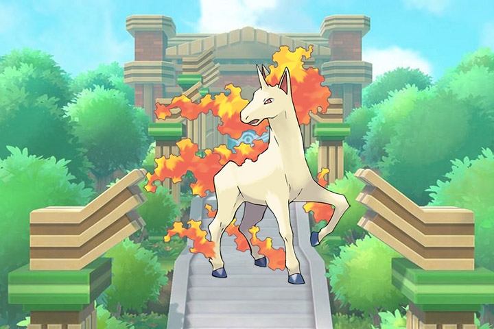 Pokédex : Fiche Galopa