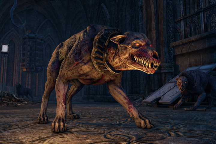 TESO : Comment lancer la quête prologue de Greymoor ?