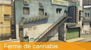 usine-cannabis-gta-online