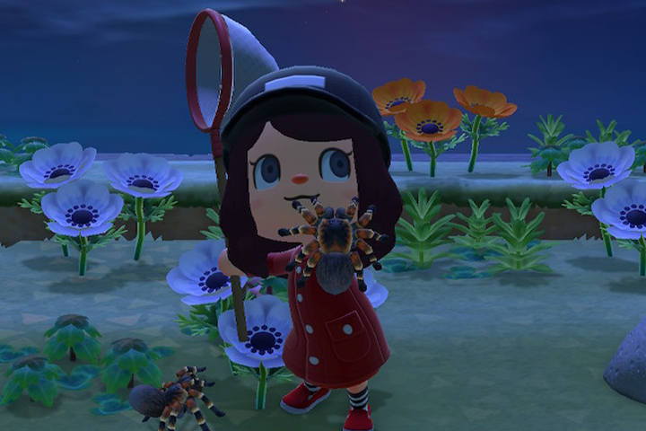 Animal Crossing New Horizons : Îles tarentules, comment s'y rendre ?