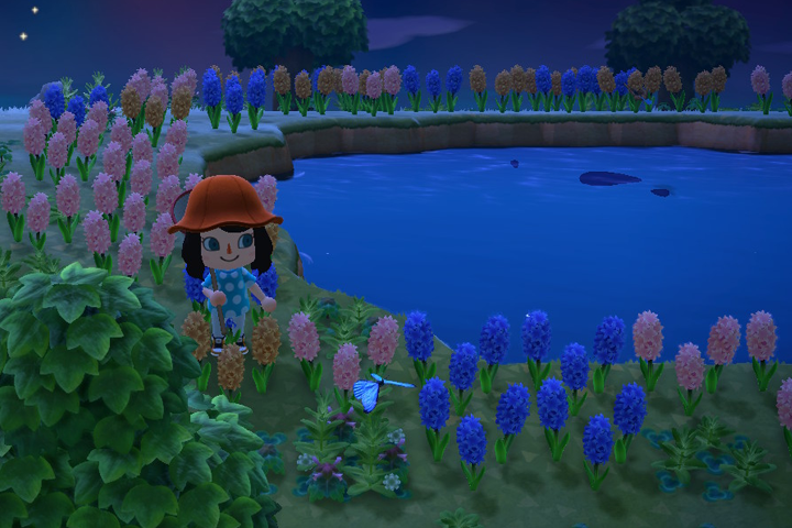 Animal Crossing New Horizons : Îles mystères, liste et infos