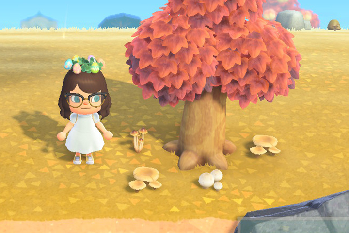 Champignons, tous les plans de bricolage dans Animal Crossing : New Horizons