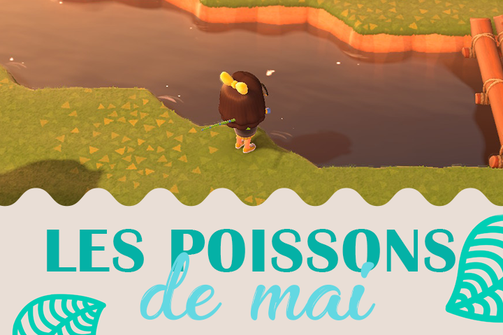 Poissons du mois de mai dans Animal Crossing New Horizons, hémisphère nord et sud