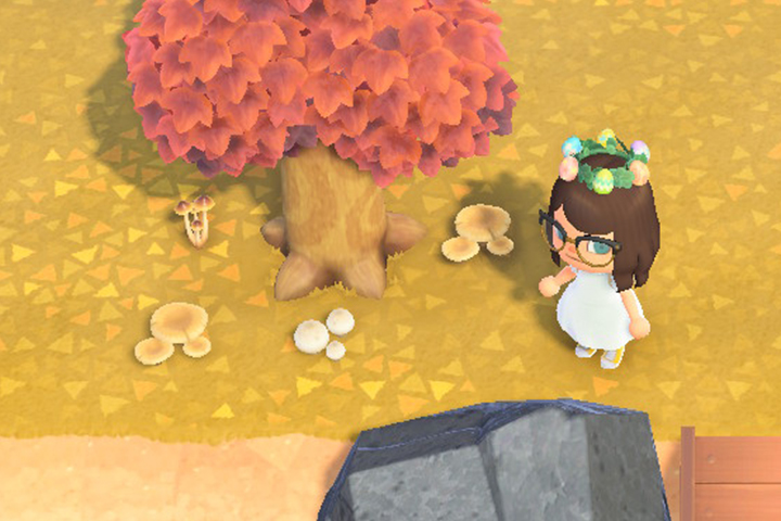 Où trouver des champignons dans Animal Crossing : New Horizons ?