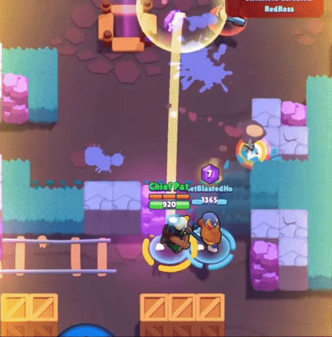 Guide et présentation de Bo