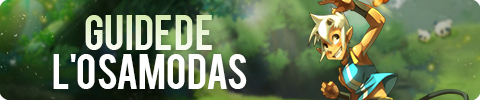 dofus-osamodas-guide-air