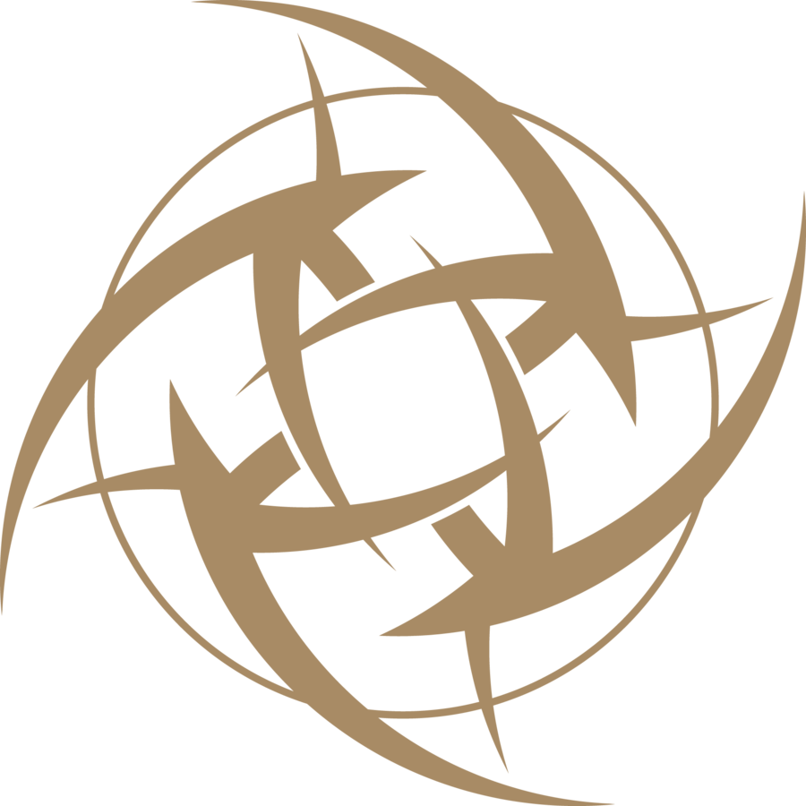 NiP est champion du monde de Paladins