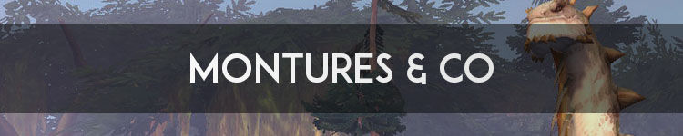 Toutes les infos sur BFA