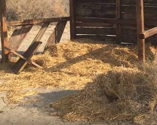 Burger dans le désert : l'enquête continue