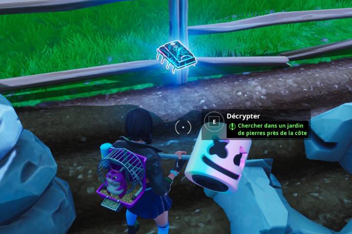 Fortnite : Puce 83 Décryptage, Chercher dans un jardin de pierres près de la côte, Défi
