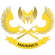 Comment fonctionne le format des Worlds ?