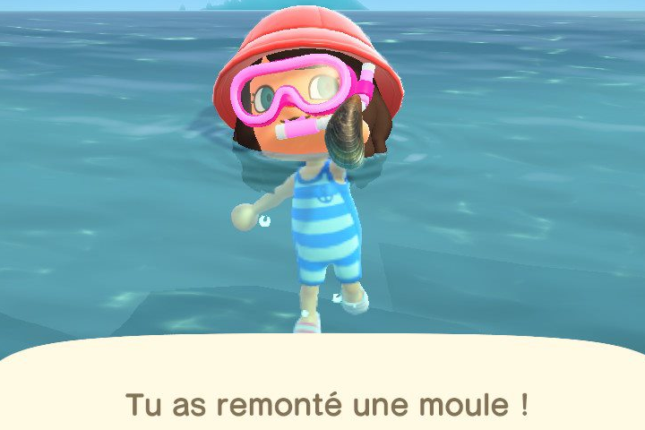 Toutes les créatures marines d'Animal Crossing : New Horizons, liste complète et infos