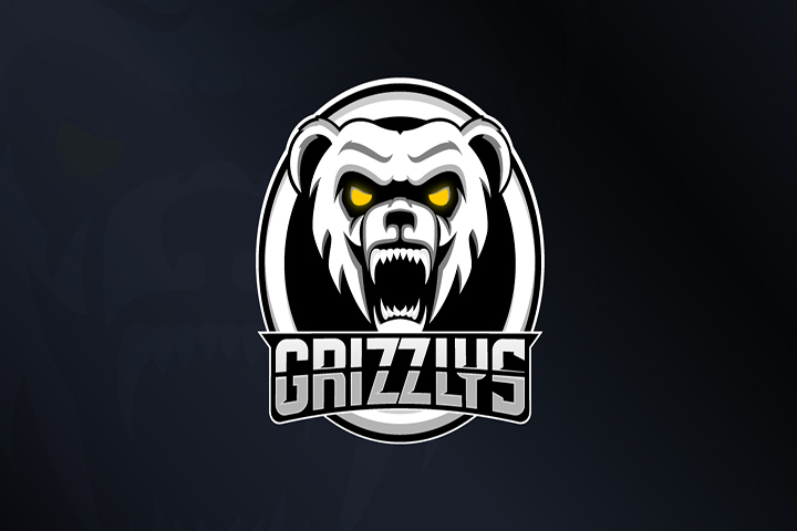 OW : Montreal Esports, l'organisation de Georges St-Pierre, rachète le slot de Rogue en Contenders NA