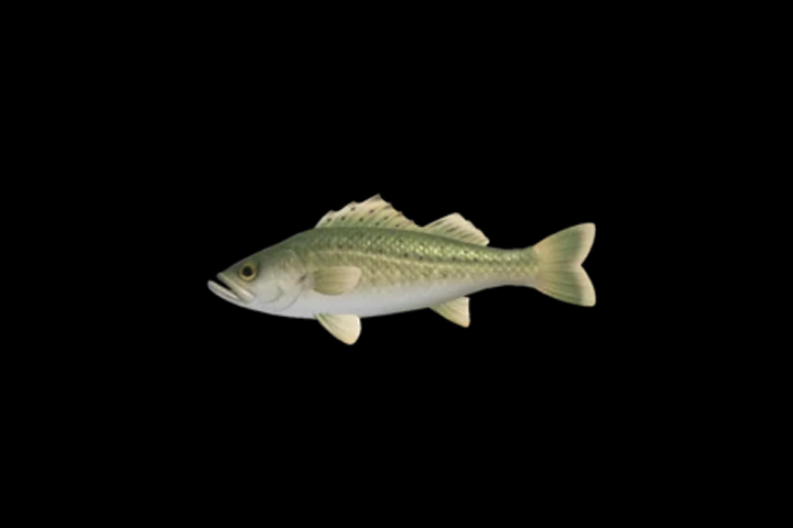 Bar commun dans Animal Crossing : New Horizons, où en trouver ?