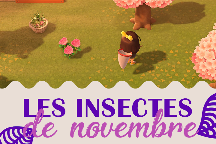 Insectes du mois de novembre dans Animal Crossing New Horizons, hémisphère nord et sud