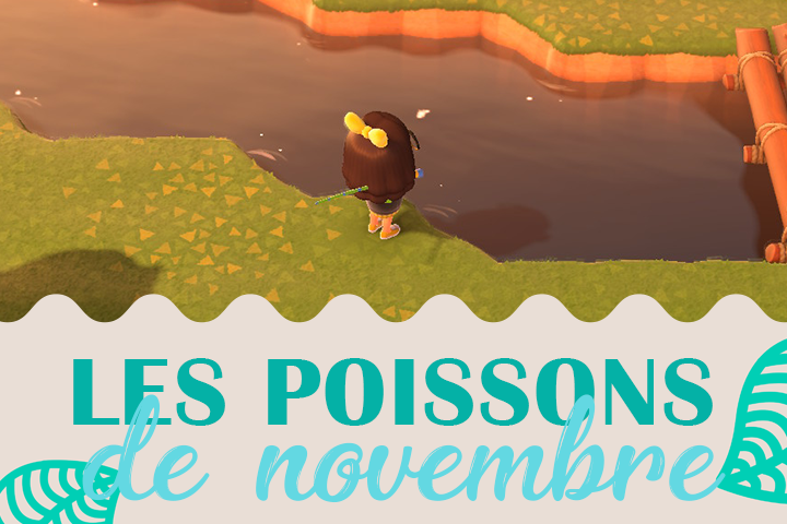 Poissons du mois de novembre dans Animal Crossing New Horizons, hémisphère nord et sud