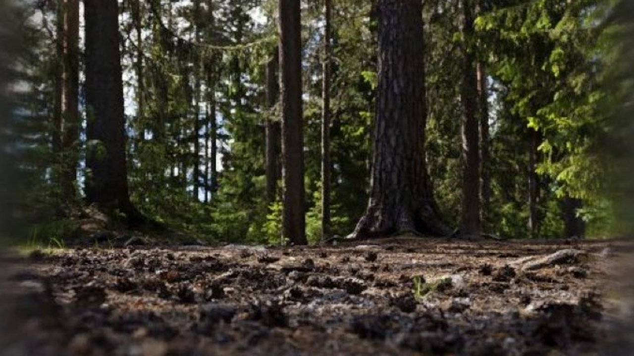 Ant Man dans Fortnite, comment avoir le skin ?