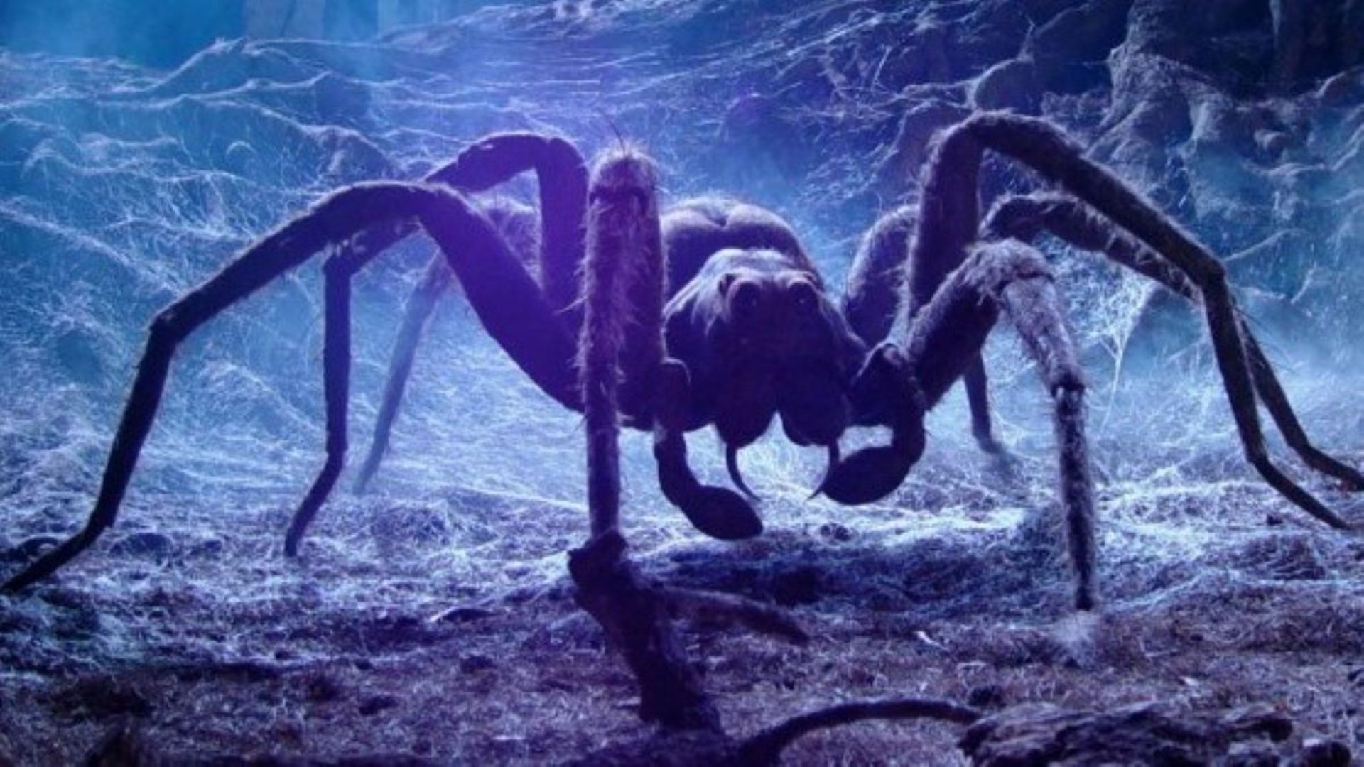 Un mod sur Hogwarts Legacy pour les arachnophobes ? Comment faire si vous avez peur des araignées ?