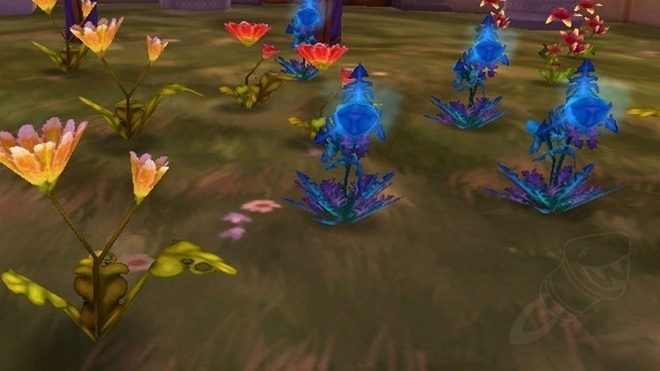 Où farm du Gangrelotus à WoW TBC Classic ?