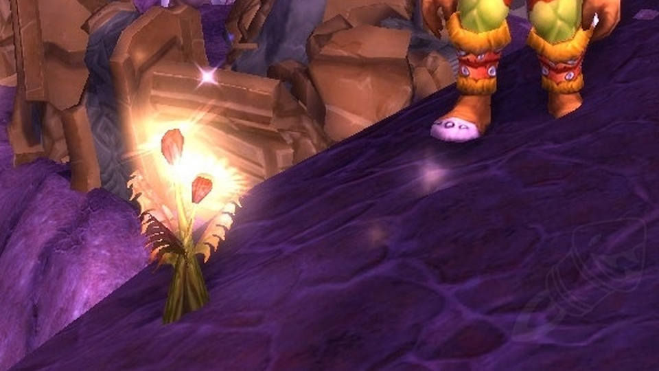 Où farm du Glaurier à WoW TBC Classic ?