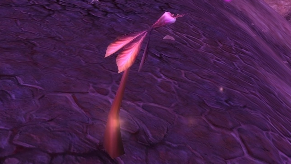 Où farm de la Néantine à WoW TBC Classic ?