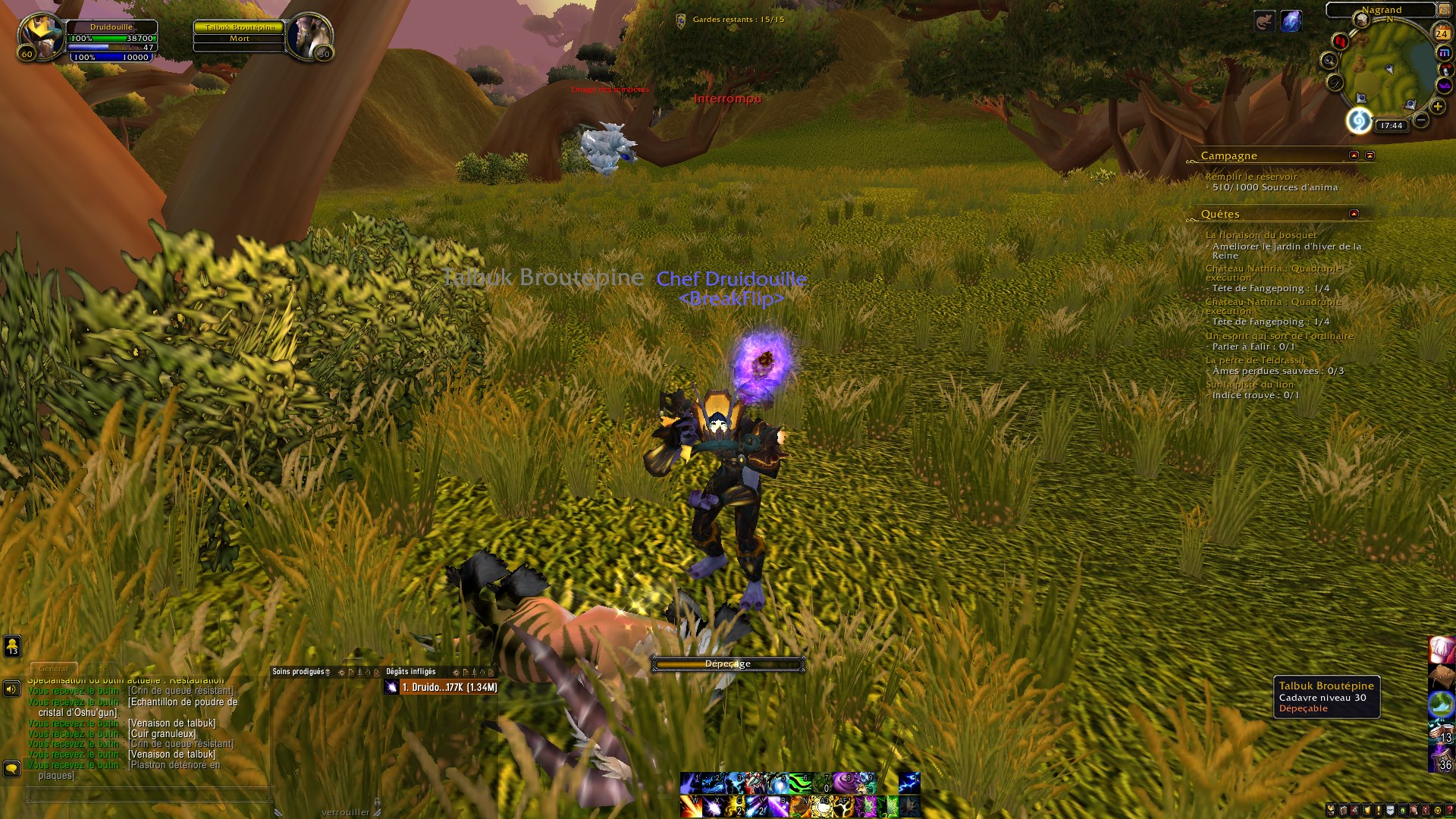 Où farm du Cuir granuleux à WoW TBC Classic ?