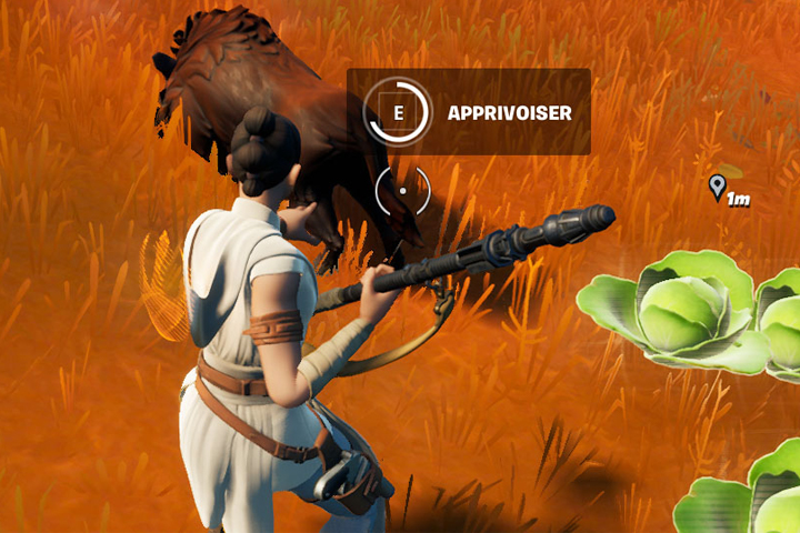 Comment apprivoiser les sangliers hors de Colossal Crops dans Fortnite en saison 6 ?