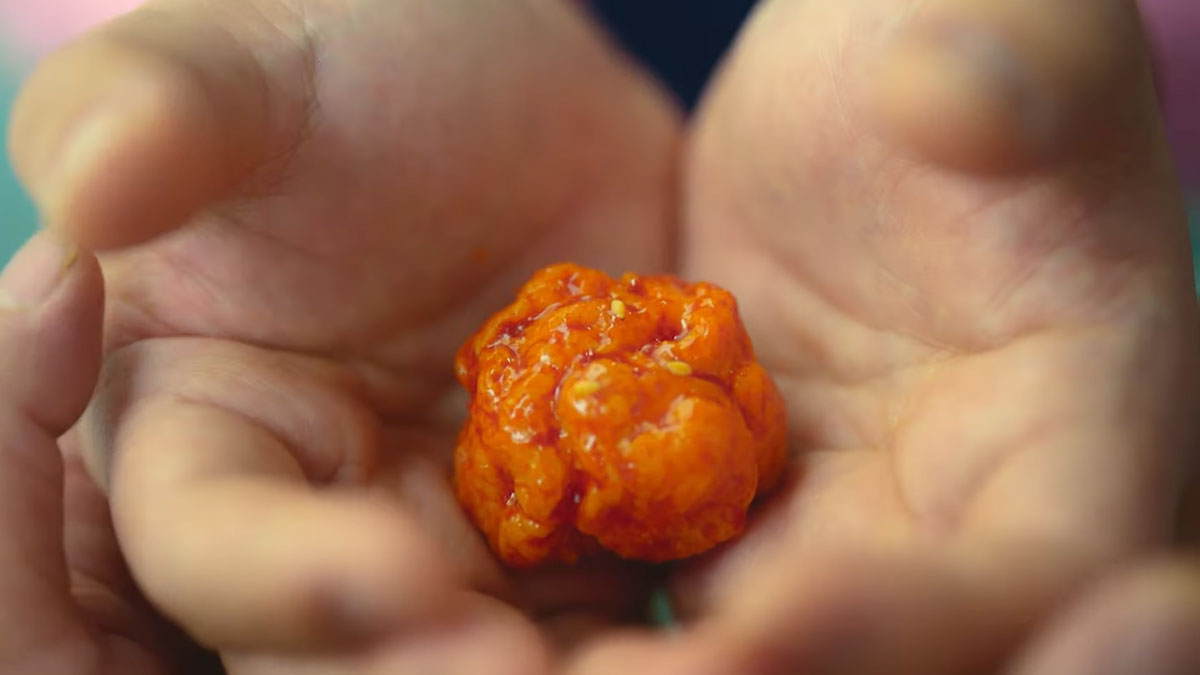 Chicken Nugget : c'est quoi ce poulet sur Netflix ?