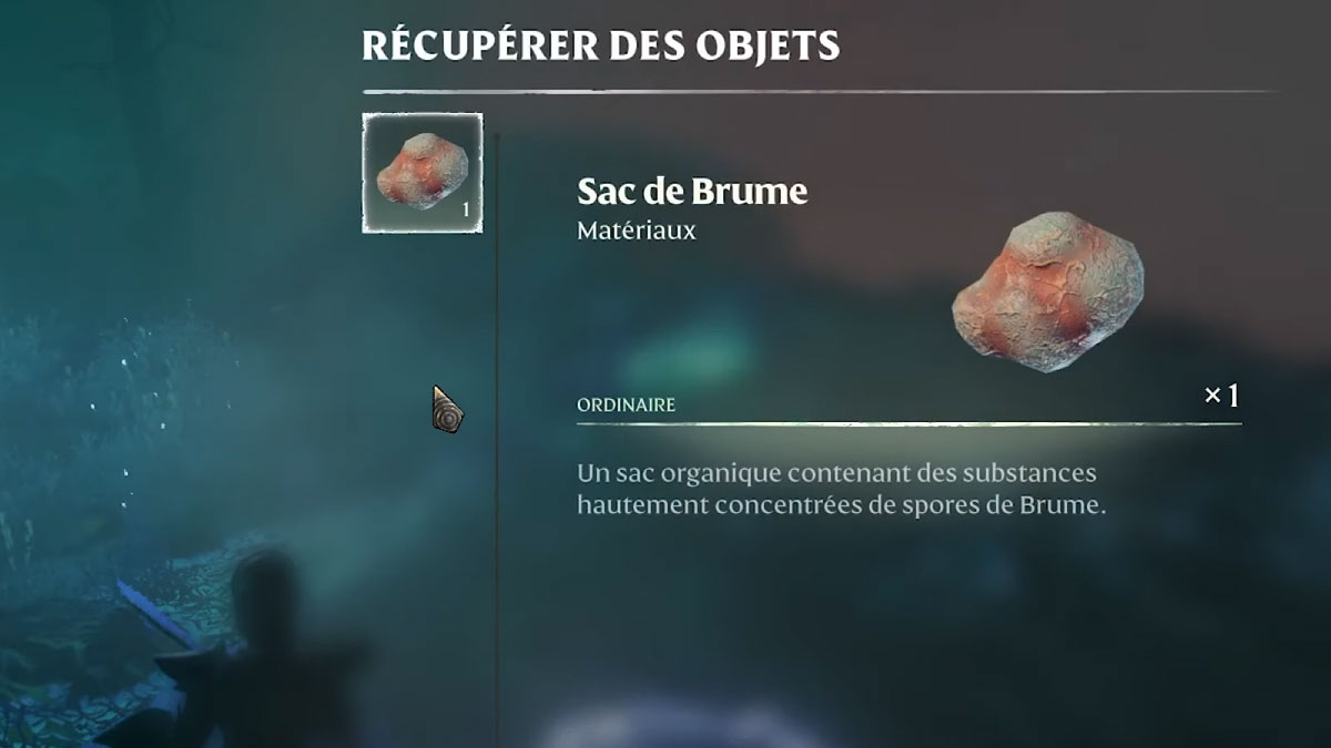 Sac de brume Enshrouded : comment en obtenir ?