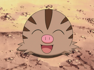 Marcacrin et Marcacrin shiny dans les Heures de Pokémon Vedette de décembre sur Pokémon GO