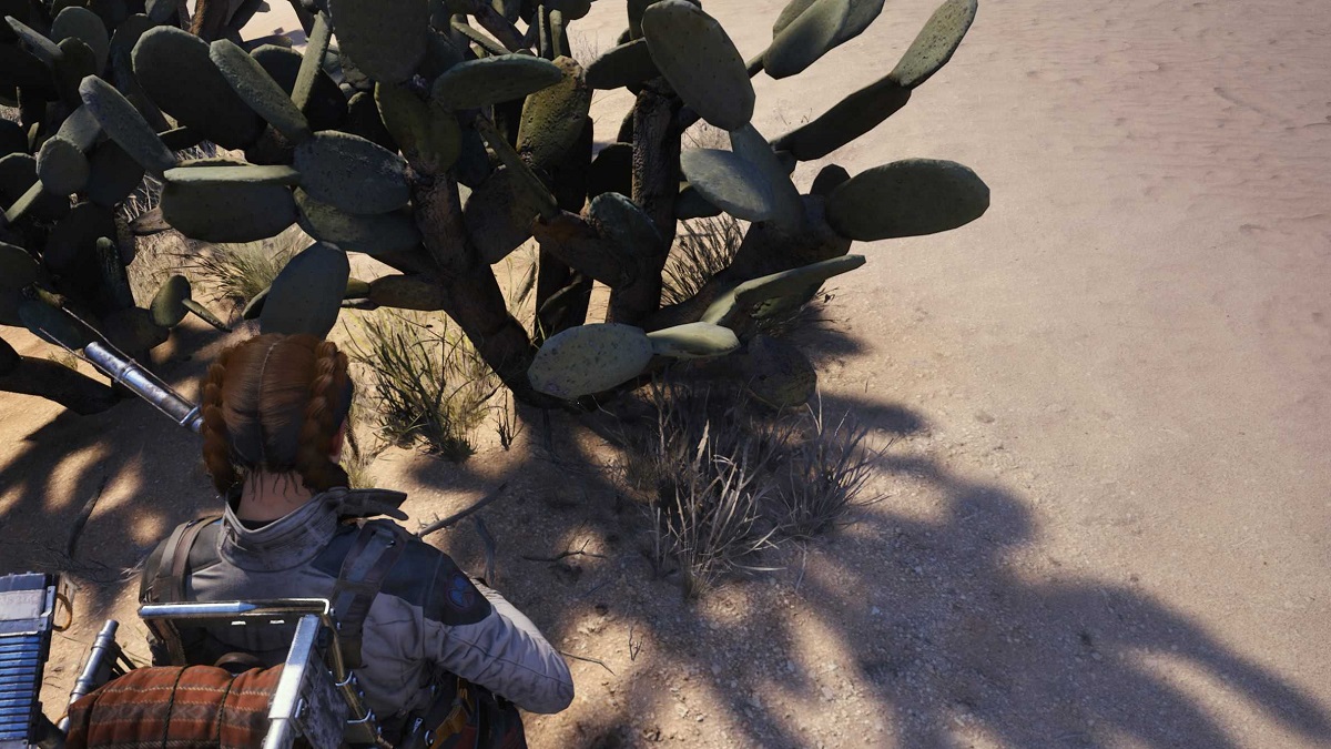 Où trouver les figues de Barbarie dans ARC Raiders ?