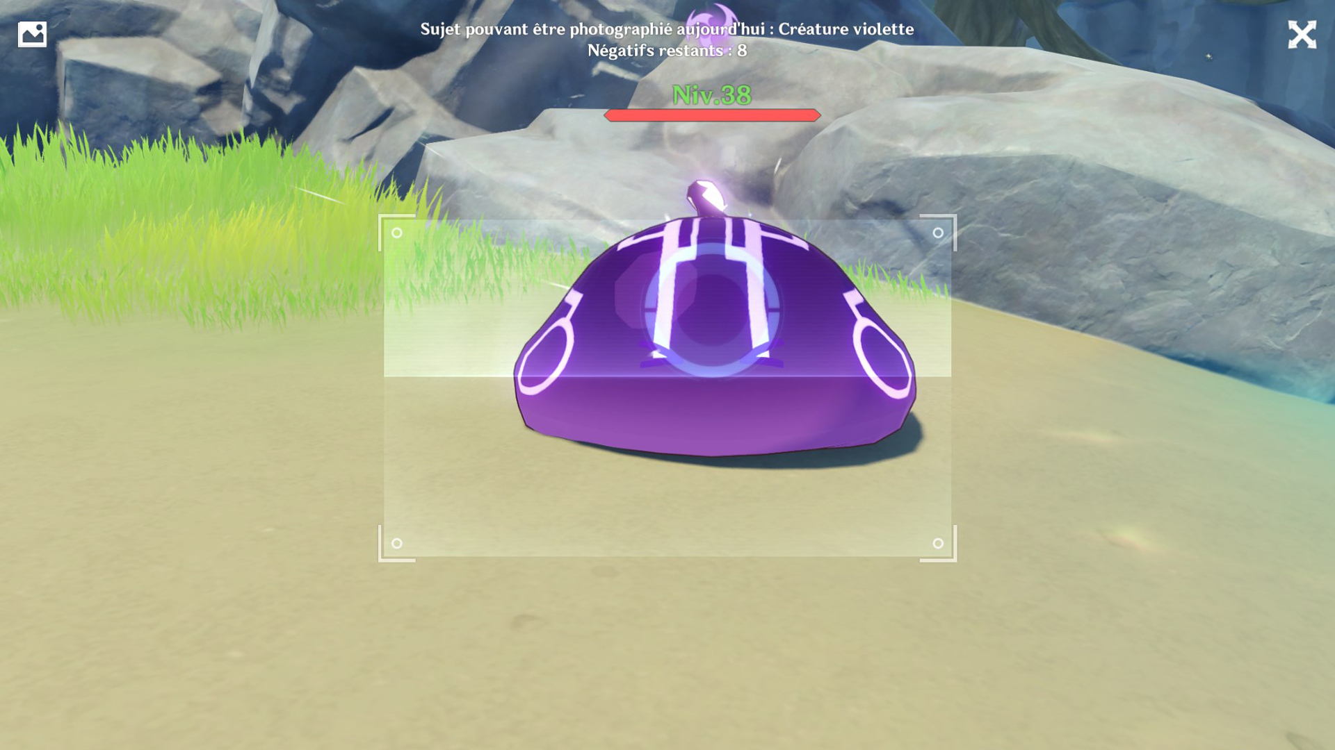 Créature violette Genshin Impact, quel monstre photographier ?
