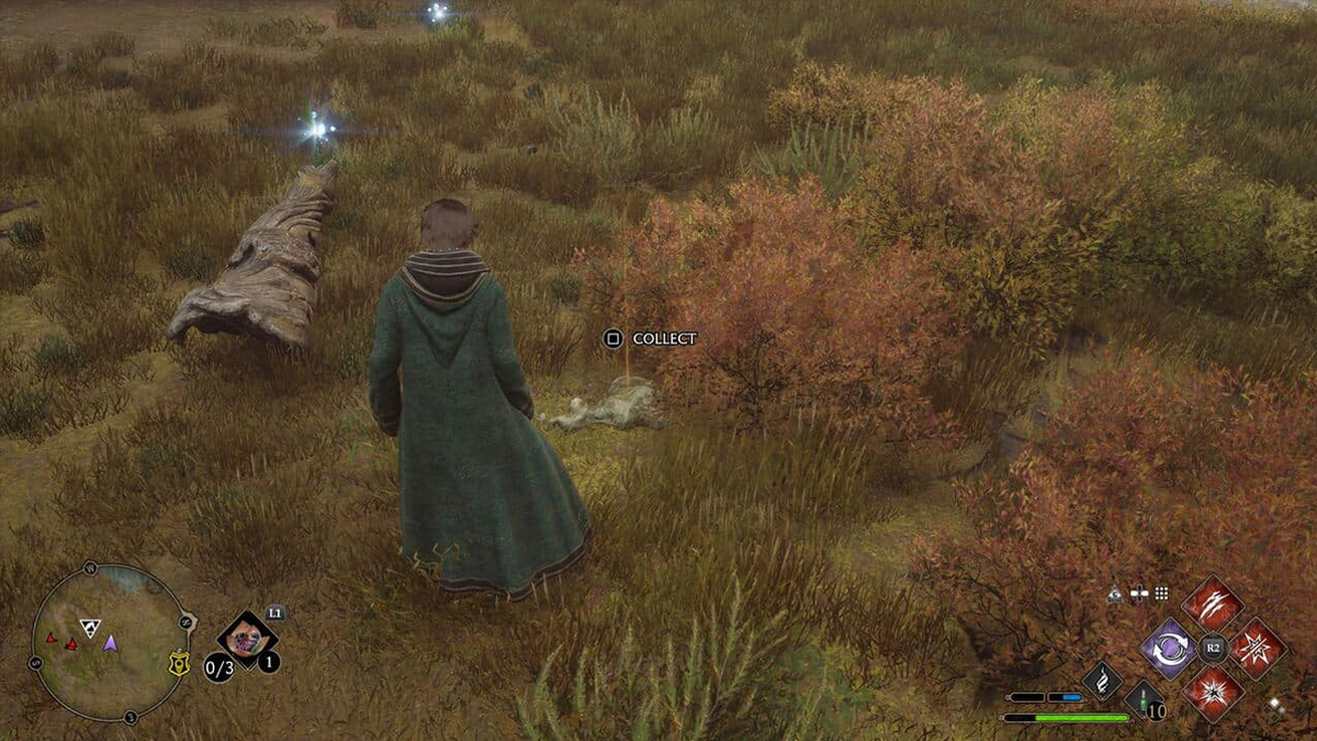 Langue de fangieux Hogwarts Legacy, comment en avoir ?